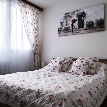 Zazij Brno! Utulny Apartman V Centru Pro 6 Osob ברנו